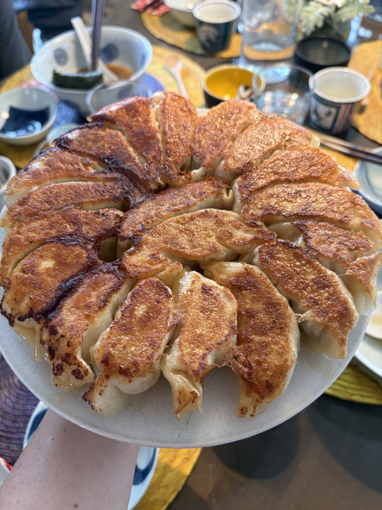 Pan-fried gyoza