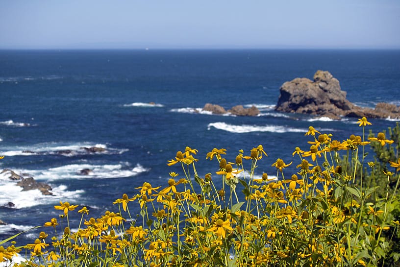 The Pacific coast of northern Japan